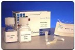HitKit® HCS Reagent Kit for Mitotic Index - null