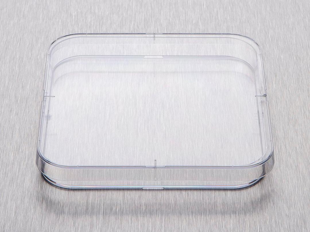 Corning® Gosselin™ Square Petri Dish 120 x 15 mm, 4 Vents, Sterile, 14/Bag, 252/Case - Corning Life Sciences