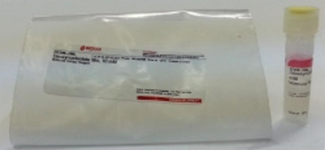Deoxynucleotide Mix, 10 mM - Merck KGaA, Darmstadt, Germany - Life Sciences