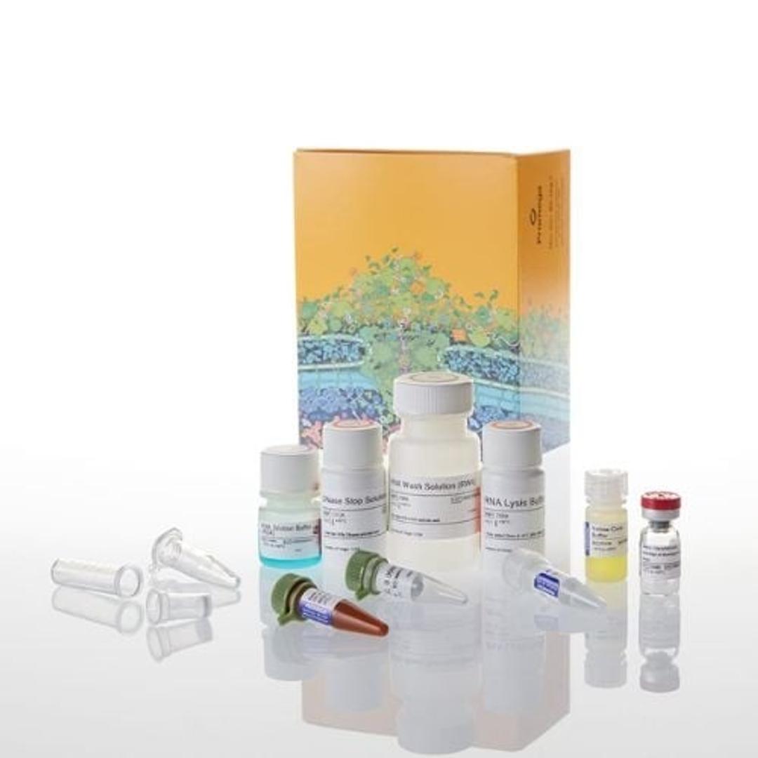 SV Total RNA Isolation System - Promega Corp. - Life Sciences