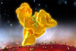 VELTIS® - Albumin technology - Novozymes Biopharma UK Ltd - Drug discovery > Pre-Clinical Development