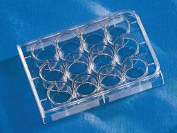 Costar® 12-well Clear TC-treated Multiple Well Plates, Bulk Pack, Sterile - Corning Life Sciences - Life Sciences