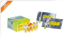 PREvalence ddPCRTM SARS-CoV-2 Wastewater Quantification Kit - Bio-Rad - Life Sciences