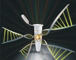 KAPA Express Extract Kits - Kapa Biosystems, Inc. - Life Sciences