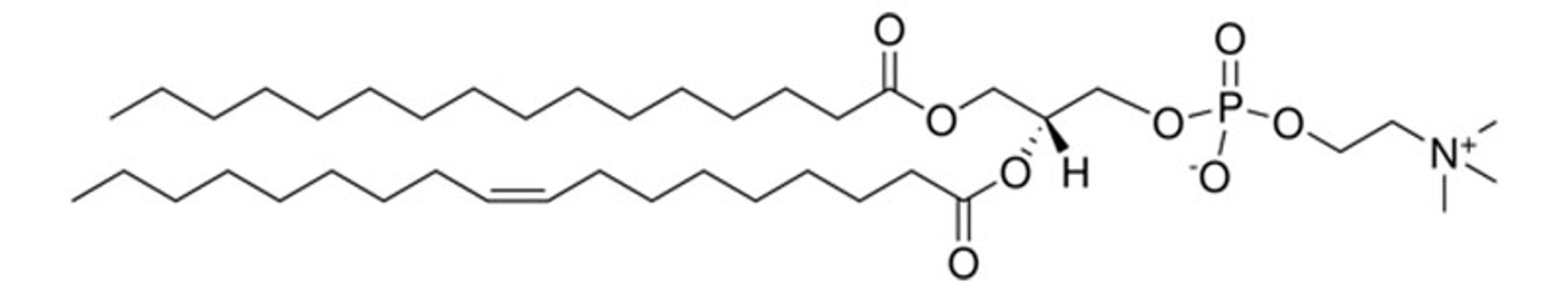 Avanti® Polar Lipids 16:0-18:1 PC - Merck KGaA, Darmstadt, Germany - Drug discovery > Drug Manufacturing