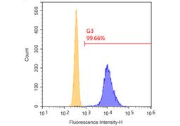 Human Anti-MS4A1 Recombinant Antibody (TAB-772)