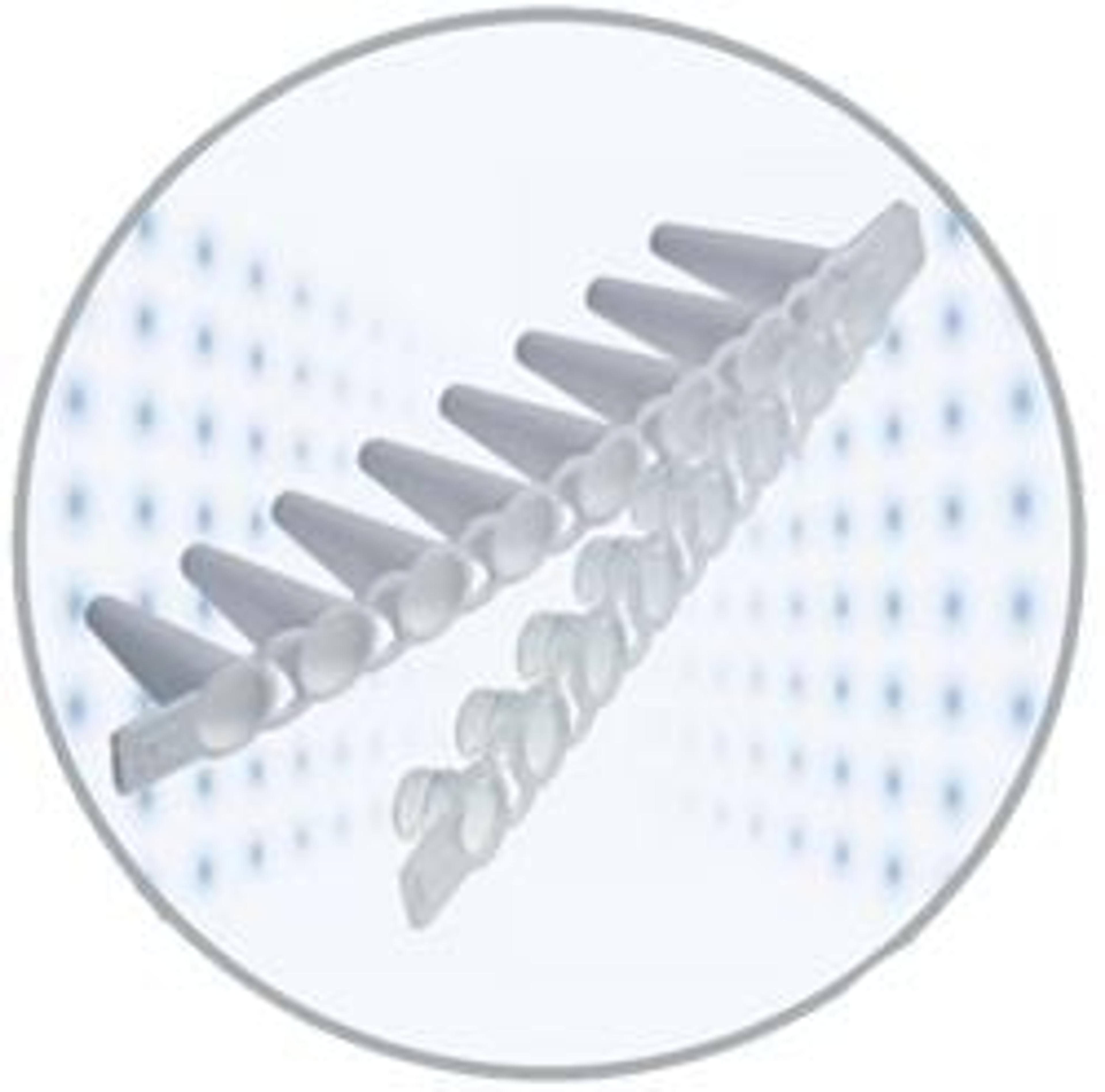 Masterclear™ Cap Strips and real-time PCR Tube Strips - Eppendorf - Life Sciences