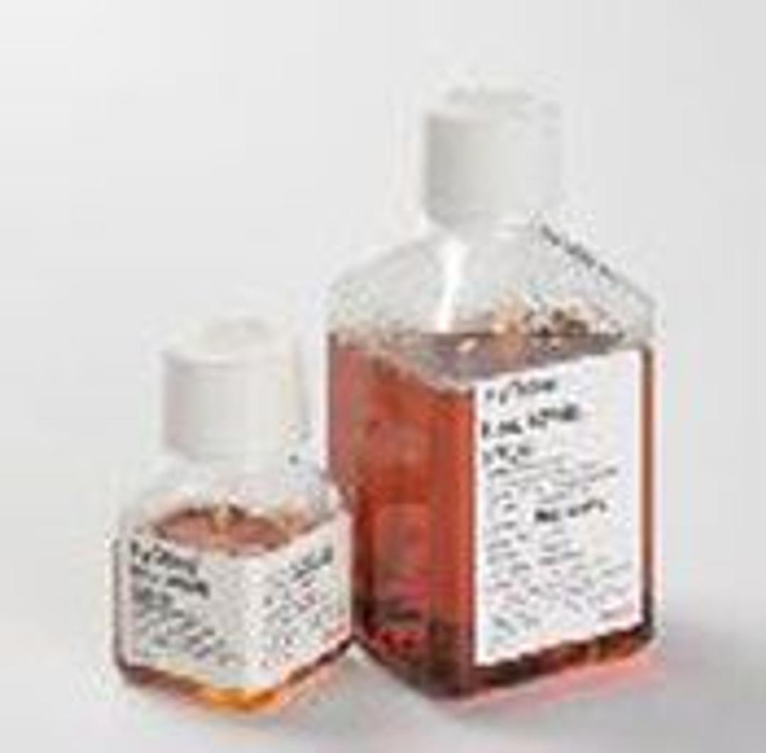 HyClone Fetal Bovine Serum - Hyclone Laboratories, Inc. - Life Sciences