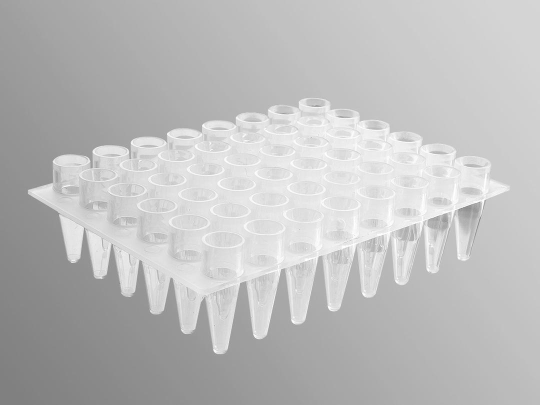 Axygen® 48-well Polypropylene PCR Microplate, Clear, Nonsterile - Corning Life Sciences - Life Sciences