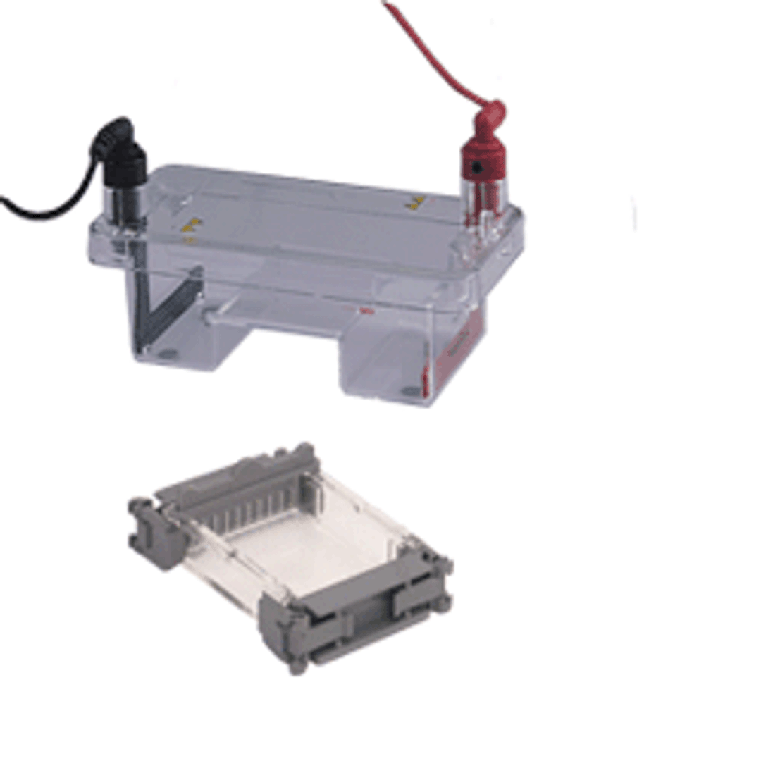 miniGES Horizontal Electrophoresis System (10 x 7 cm tray) - Wealtec - Life Sciences