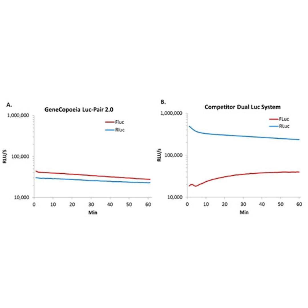 Luc-Pair™ Duo-Luciferase Assay Kit 2.0 (for enhanced stability) - GeneCopoeia - Drug discovery > Lead Discovery