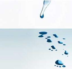 CBC’s Next-Gen Sequencing Services - febit holding GmbH - Life Sciences