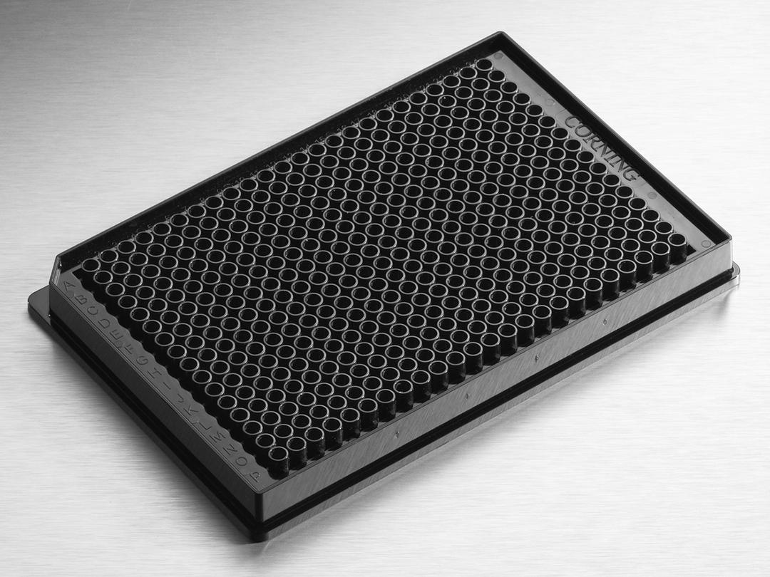 Corning® Low Volume 384-well Black Flat Bottom Polystyrene Not Treated Microplate, 10 per Bag, without Lid, Nonsterile - Corning Life Sciences - Life Sciences