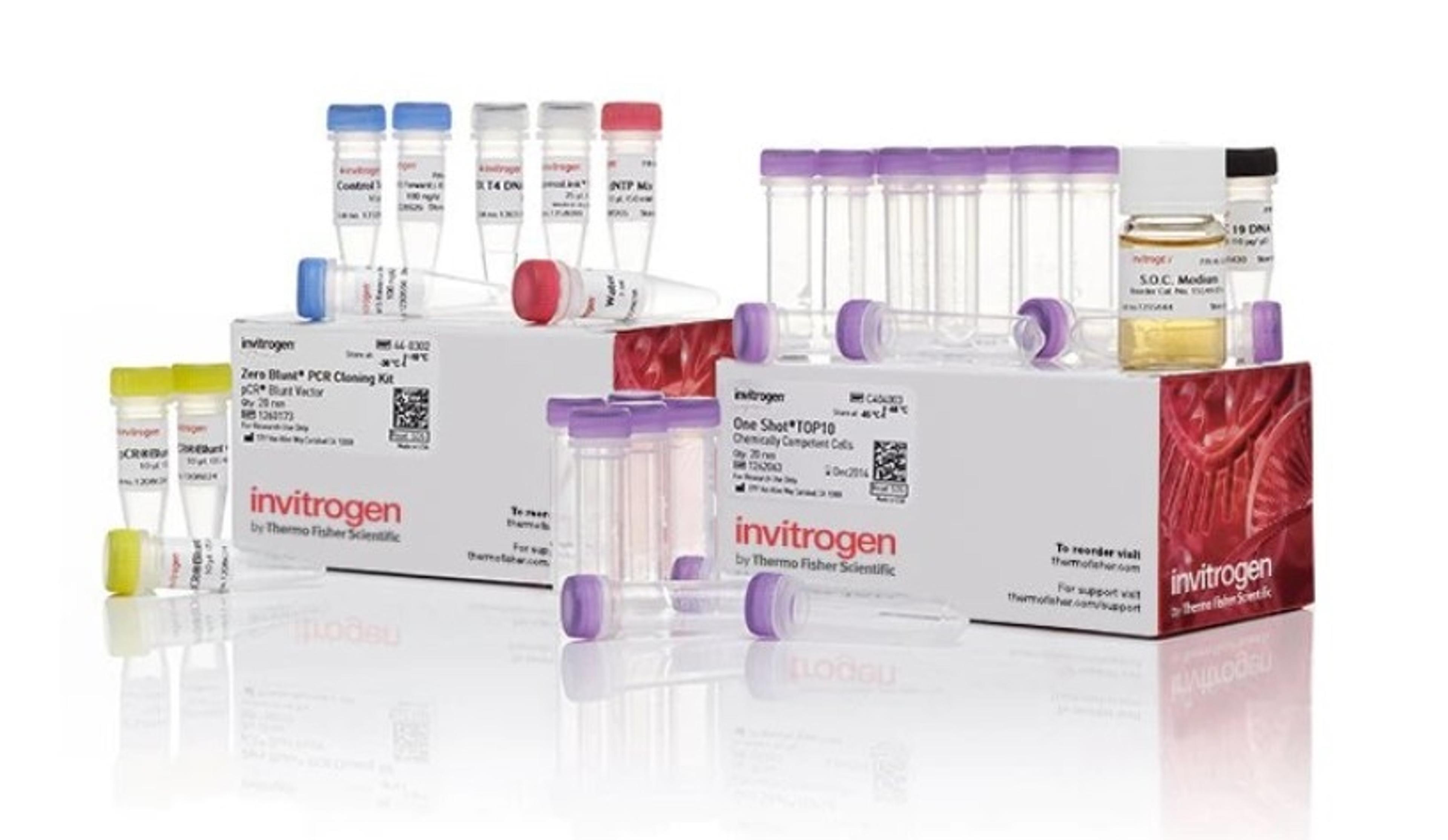 Zero Blunt™ PCR Cloning Kit - Thermo Fisher Scientific - Life Sciences