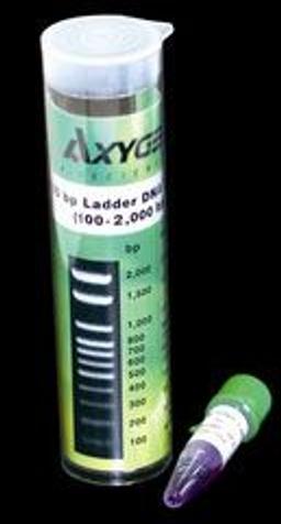 100 bp DNA Ladder - Axygen Scientific, Inc. - Life Sciences