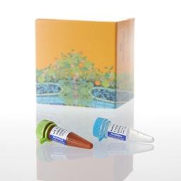 RealTime-Glo™ MT Cell Viability Assay - Promega Corp. - Life Sciences