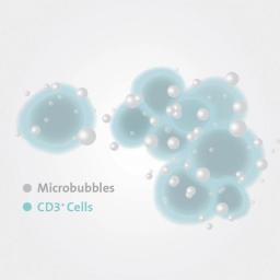 Corning® X-MINI® Human CD3 Selection Kit - Corning Life Sciences - Drug discovery > Target Discovery