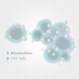 Corning® X-MINI® Human CD3 Selection Kit - Corning Life Sciences - Drug discovery > Target Discovery