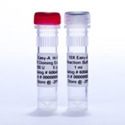 Easy-A One-Tube RT-PCR Kit - Agilent Technologies - Life Sciences