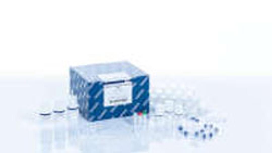 QIAamp Fast DNA Tissue Kit - QIAGEN