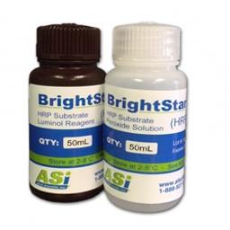 BrightStar™ ECL Detection kit, highly sensitive to Femtogram levels - Alkali Scientific