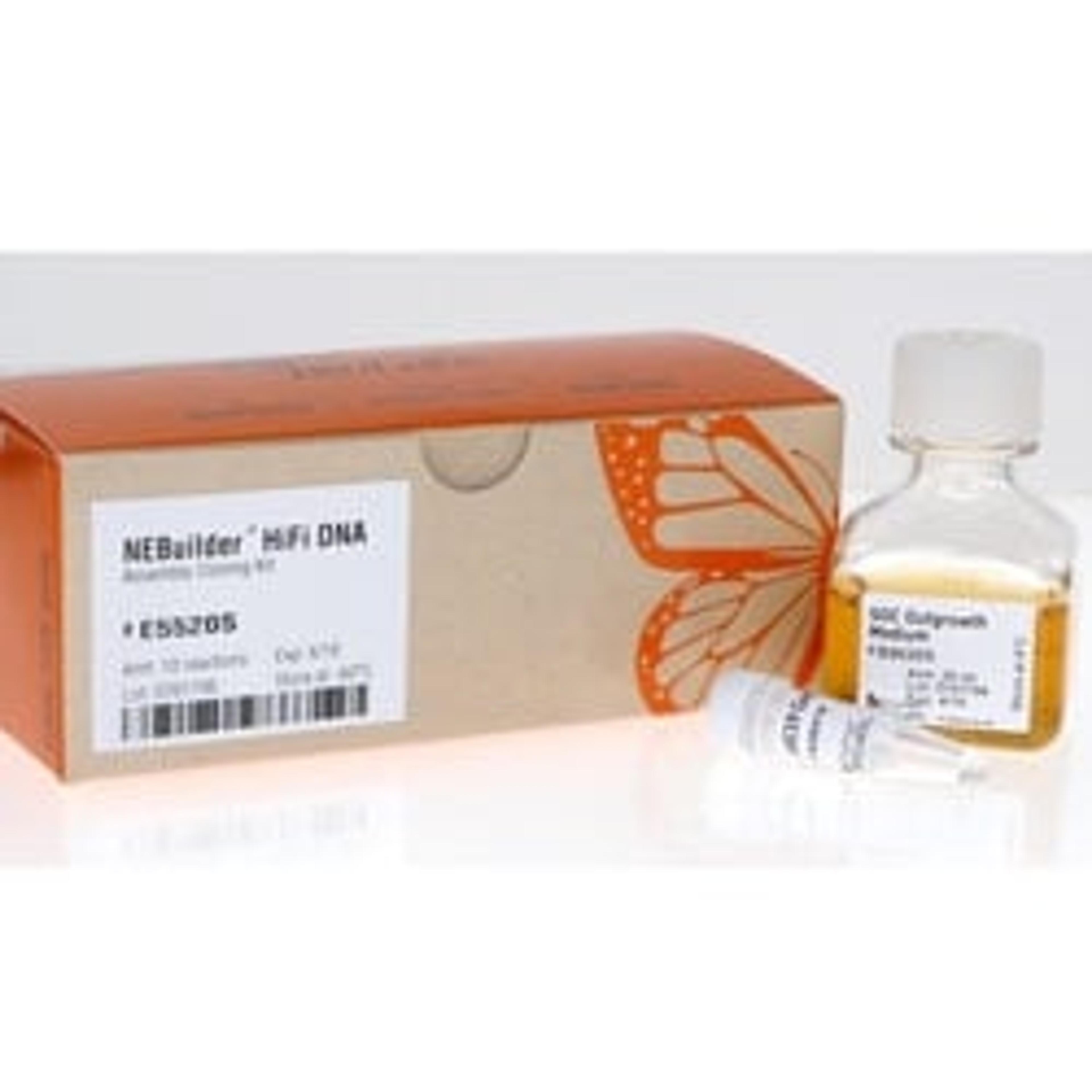 Q5® High-Fidelity DNA Polymerase - New England Biolabs Inc. - Life Sciences