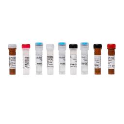 ARM-D® Kit, β-Lactamase - Streck - Life Sciences