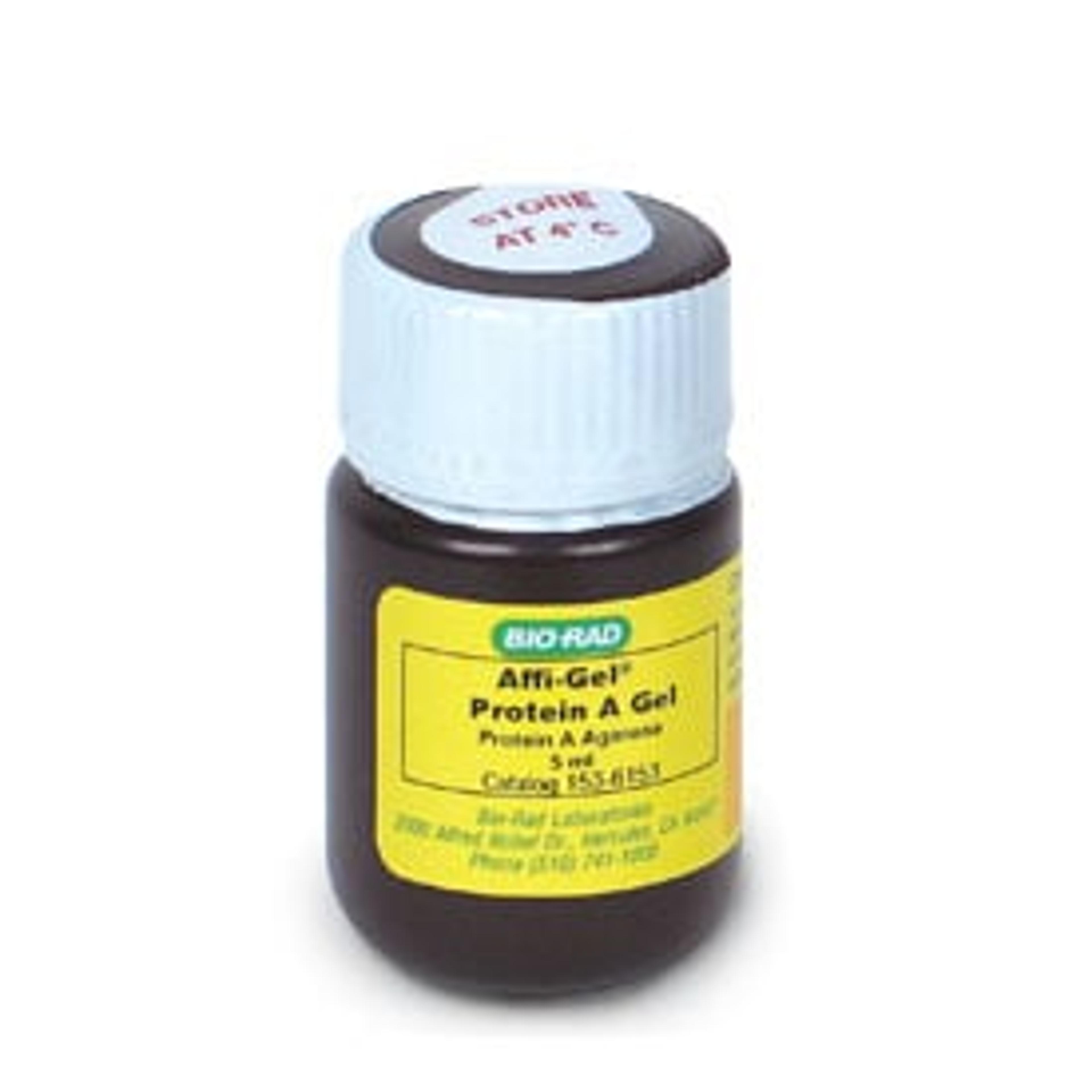 Affi-Gel Protein A Support #1536153 - Bio-Rad - Separations