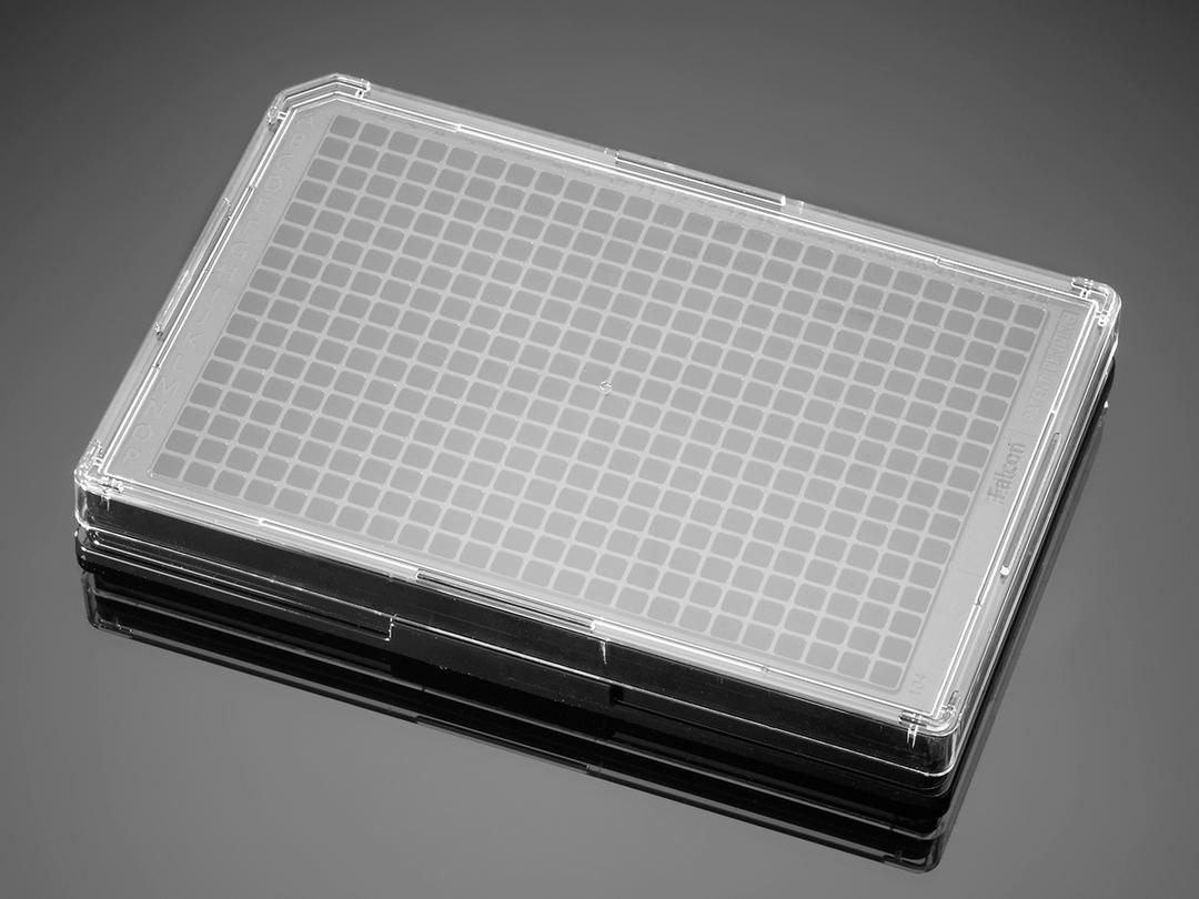 Corning® BioCoat™ Collagen I 384-well Black/Clear Flat Bottom Microplate, w/Lid, 20/Pack, 80/Case - Corning Life Sciences - Life Sciences