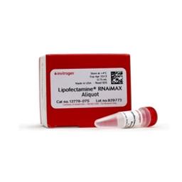 Lipofectamine™ RNAiMAX Transfection Reagent - Thermo Fisher Scientific - Life Sciences
