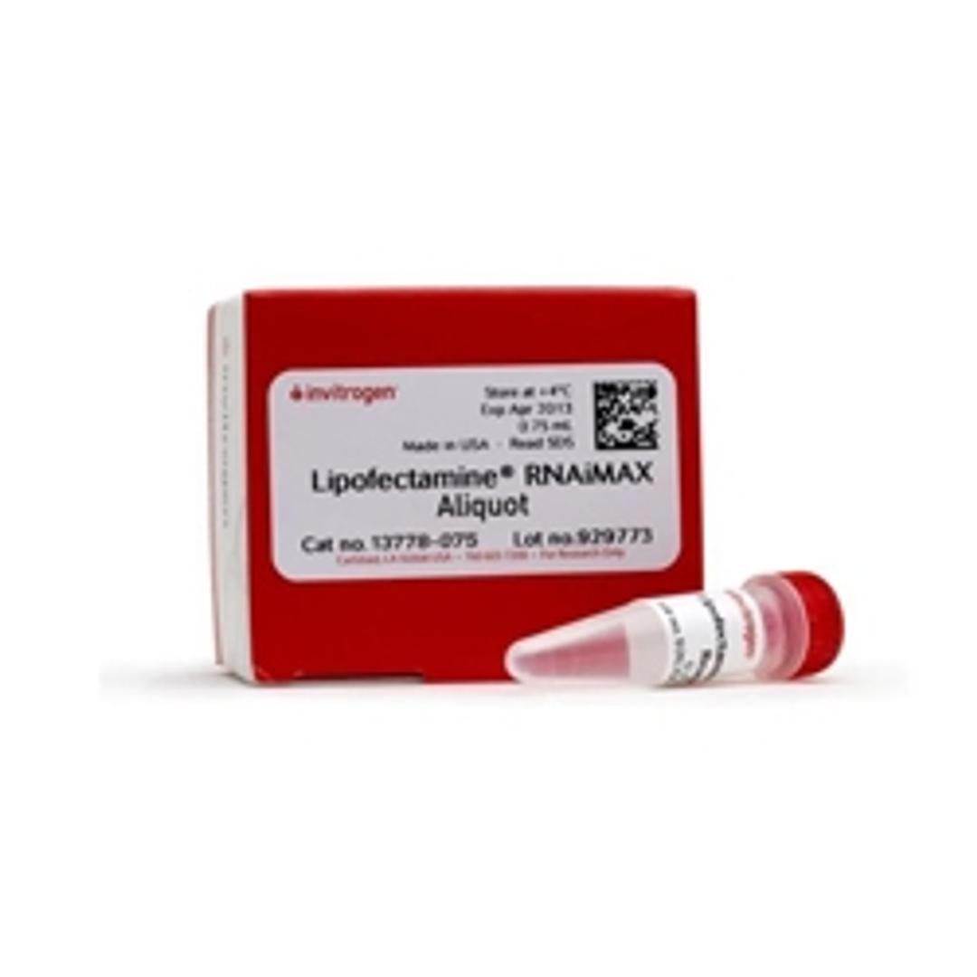 Lipofectamine™ RNAiMAX Transfection Reagent - Thermo Fisher Scientific - Life Sciences
