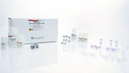 PAXgene Bone Marrow RNA Kit (30) - QIAGEN