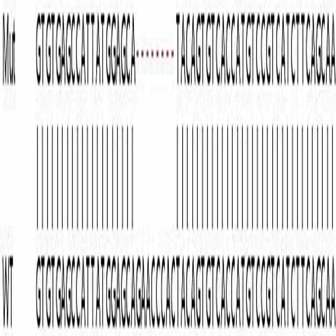 Human YES1 knockout HeLa cell line - Abcam plc - Life Sciences