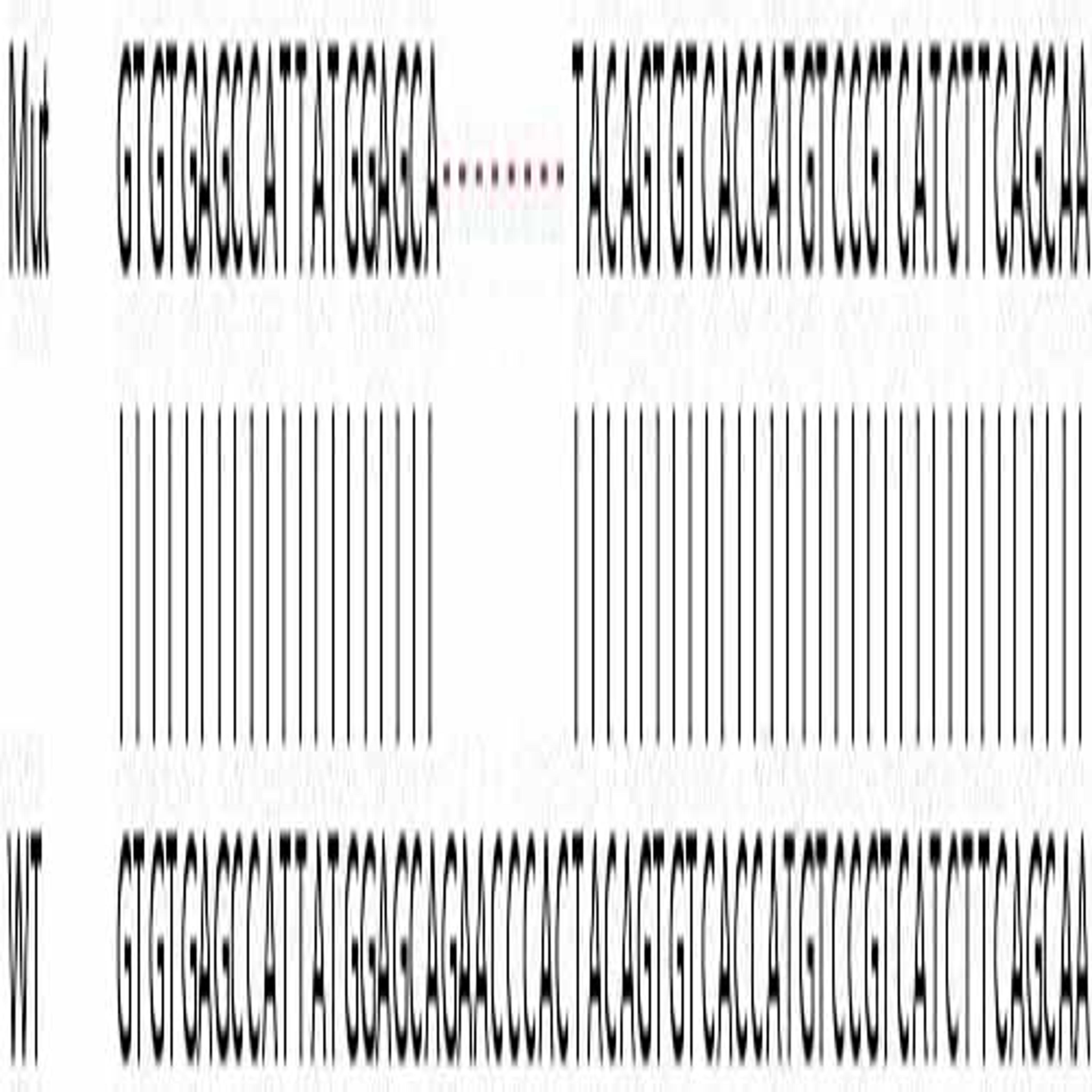 Human YES1 knockout HeLa cell line - Abcam plc - Life Sciences