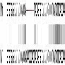 Human YES1 knockout HeLa cell line - Abcam plc - Life Sciences