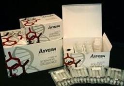 AxyPrep™ Blood Genomic DNA Midiprep Kit - Axygen Scientific, Inc. - Life Sciences