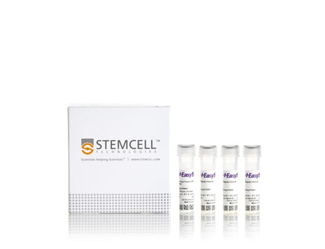 EasySep™ Non-Human Primate CD8+ T Cell Isolation Kit - STEMCELL Technologies Inc. - Life Sciences