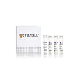 EasySep™ Non-Human Primate CD8+ T Cell Isolation Kit - STEMCELL Technologies Inc. - Life Sciences