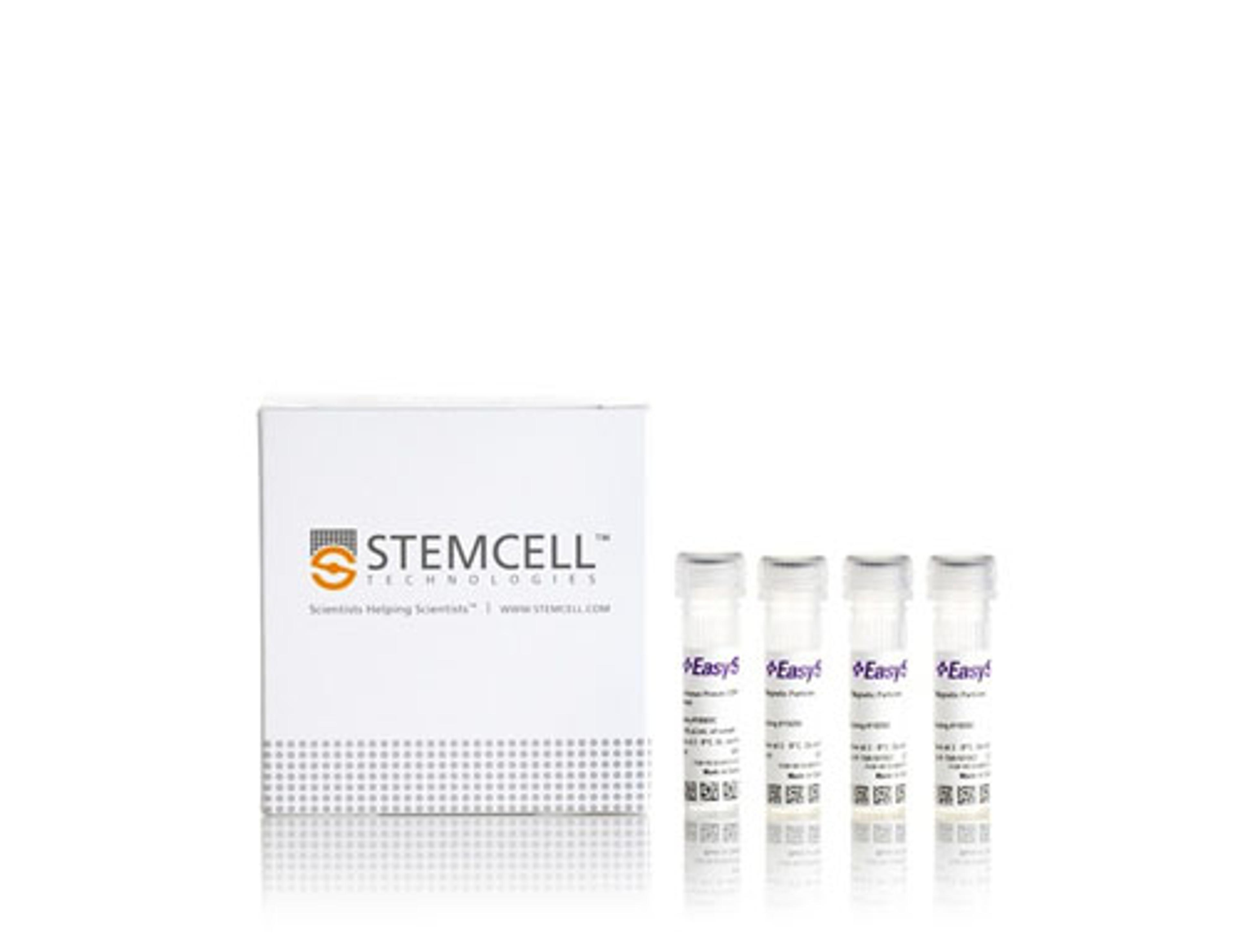 EasySep™ Non-Human Primate CD8+ T Cell Isolation Kit - STEMCELL Technologies Inc. - Life Sciences