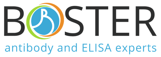Boster Bio logo