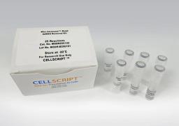 Min-Immune™ Gold dsRNA Removal Kit - CELLSCRIPT™ - Life Sciences