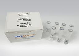 Min-Immune™ Gold dsRNA Removal Kit - CELLSCRIPT™ - Life Sciences