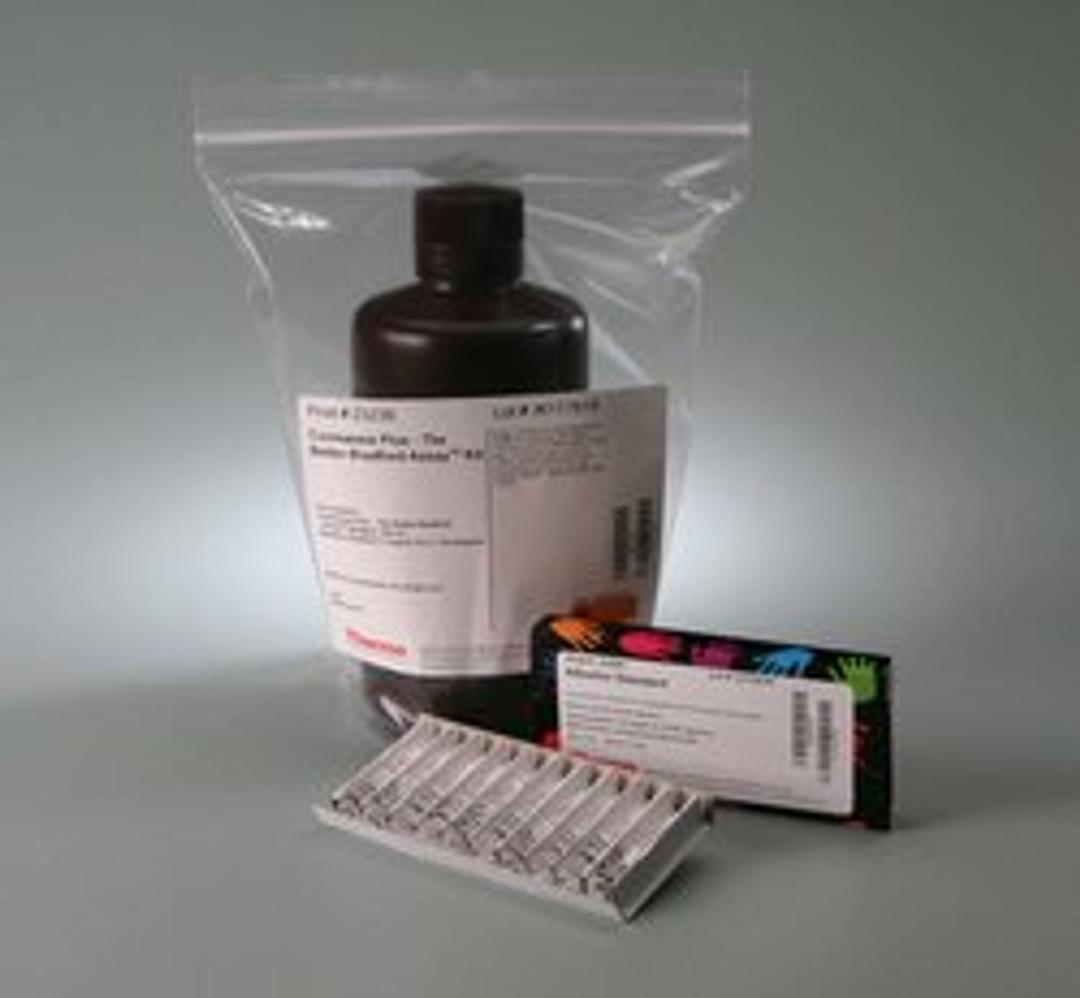 Thermo Scientific™ Pierce™ Coomassie Plus (Bradford) Assay Kit - Thermo Fisher Scientific - Life Sciences