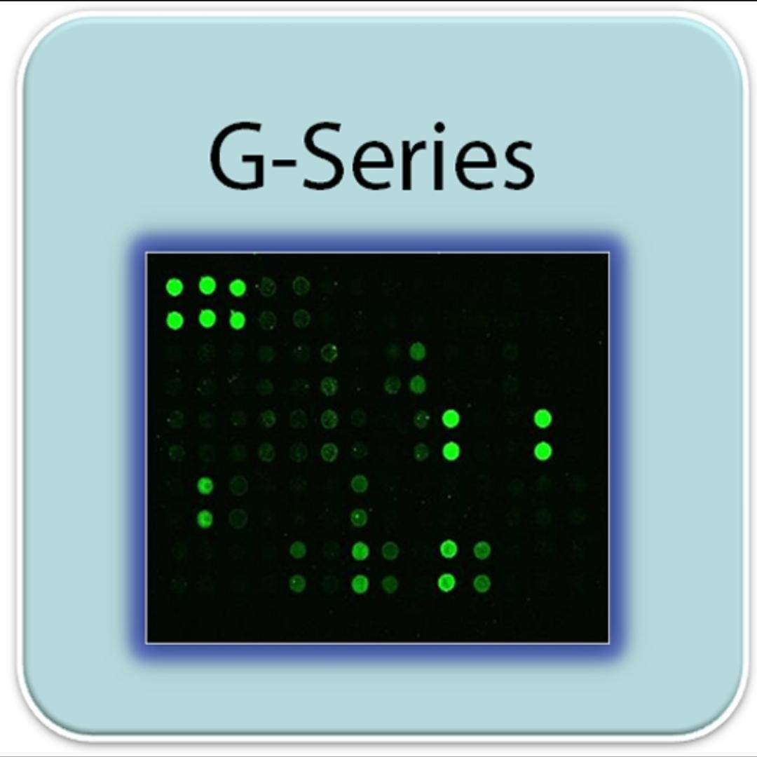 Human Protein Acetylation Array G1 - RayBiotech Inc. - Life Sciences