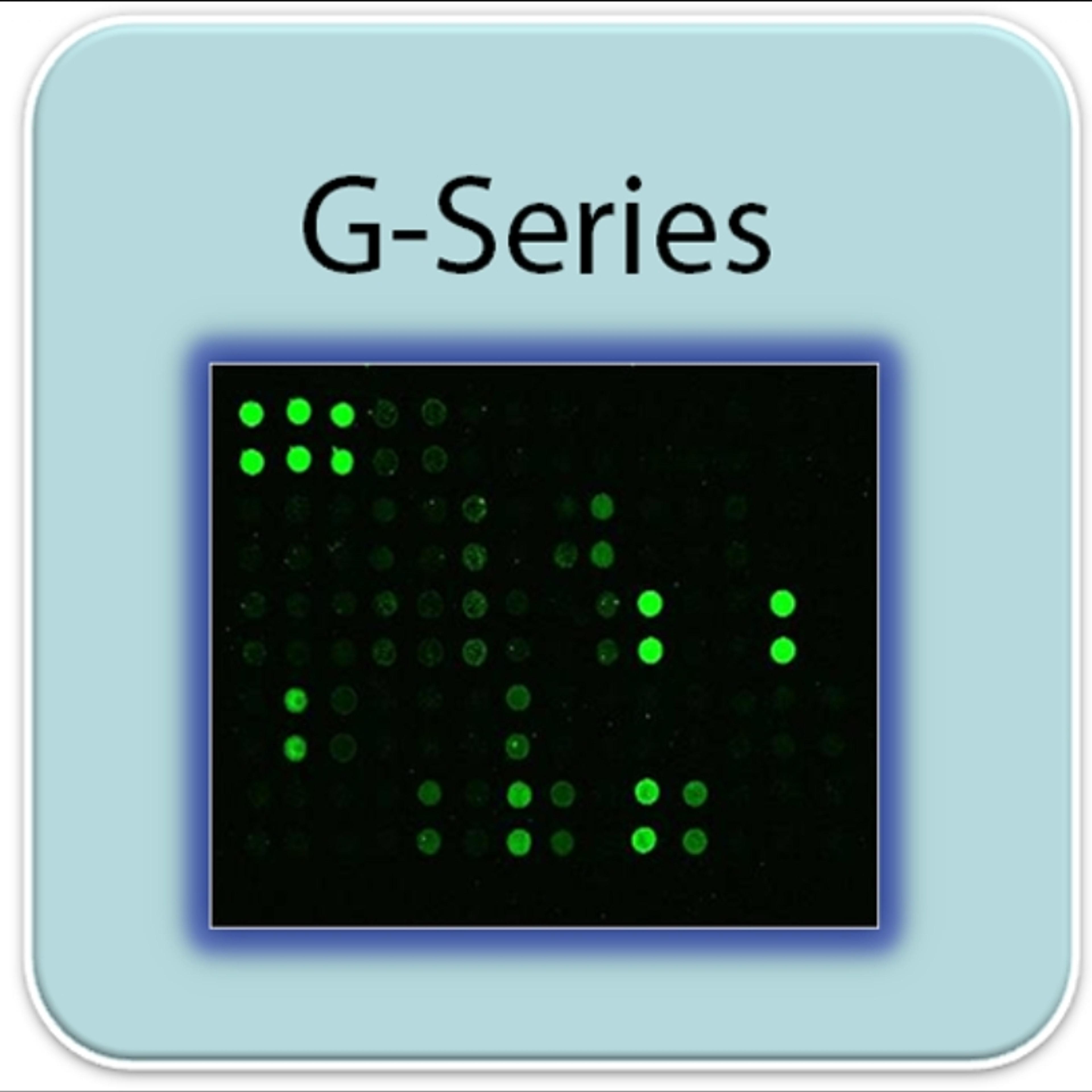 Human Protein Acetylation Array G1 - RayBiotech Inc. - Life Sciences