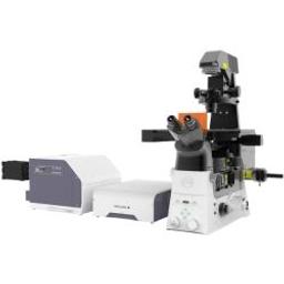 Nikon Microscope with Yokogawa CSU-W1 SoRa Spinning Disk Confocal - Nikon Healthcare Business – Microscope Solutions - Life Sciences