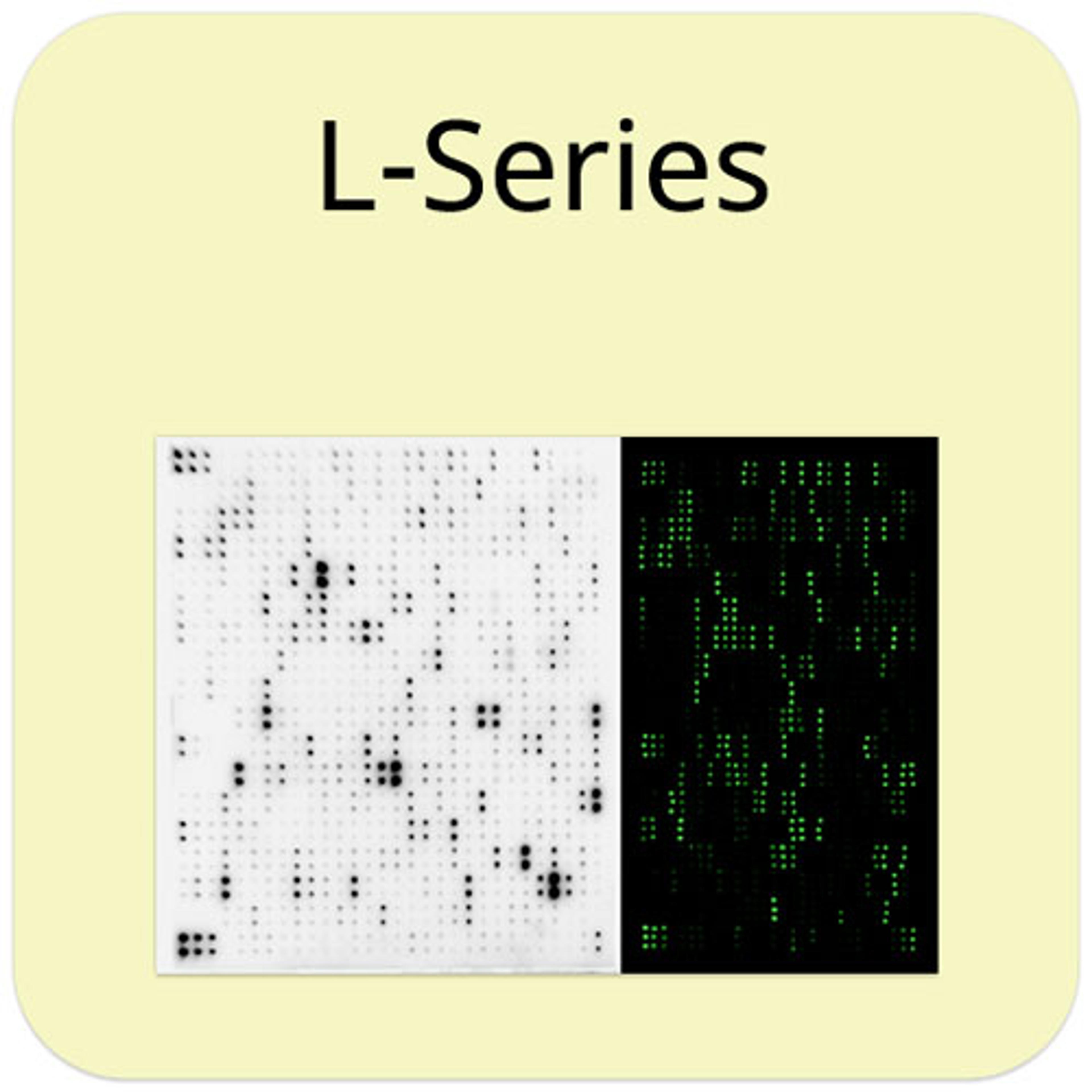 Human L507 Array, Membrane - RayBiotech Inc. - Life Sciences