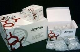 AxyPrep™ DNA Gel Extraction Kit - Axygen Scientific, Inc. - Life Sciences