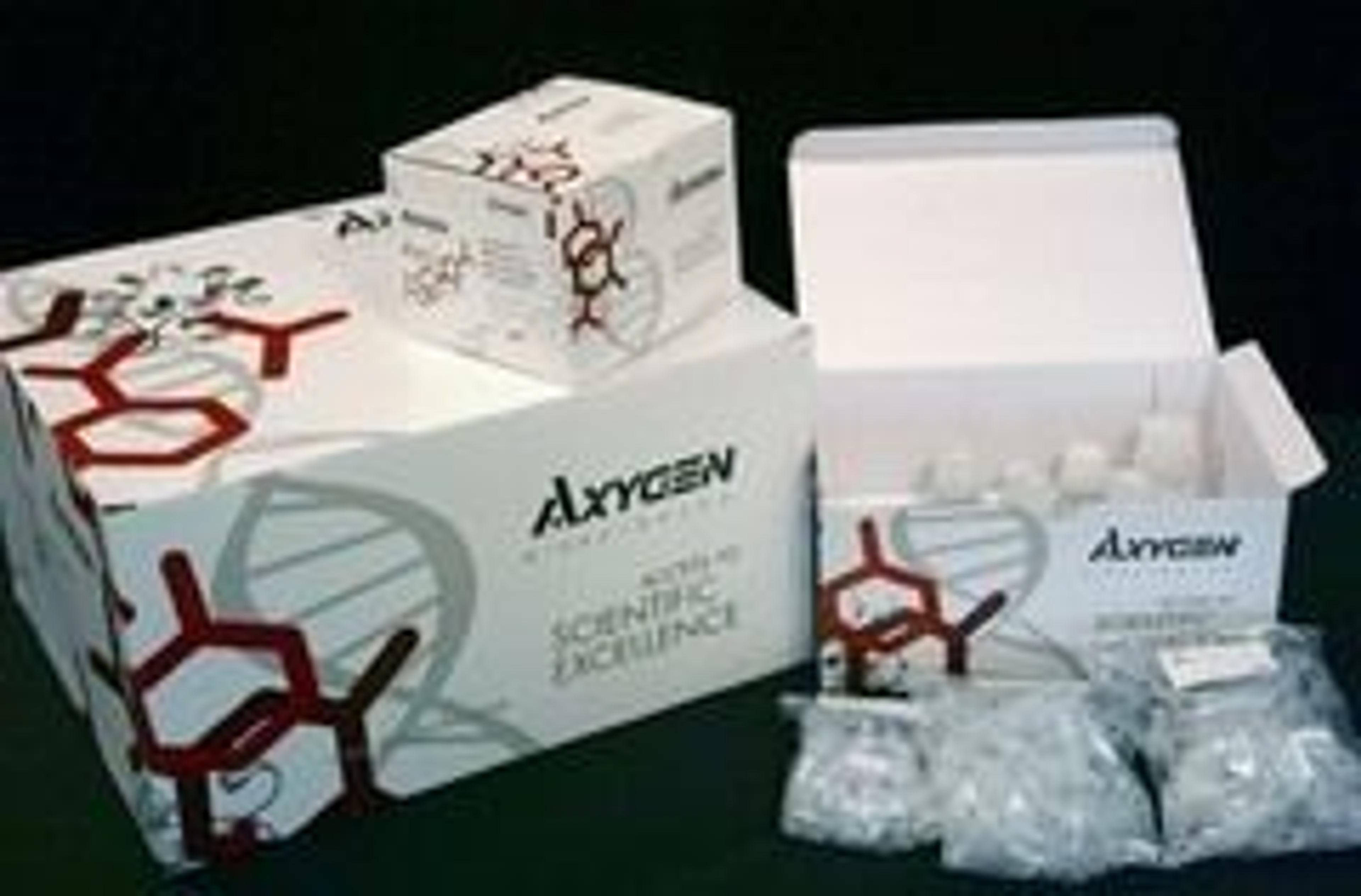 AxyPrep™ DNA Gel Extraction Kit - Axygen Scientific, Inc. - Life Sciences