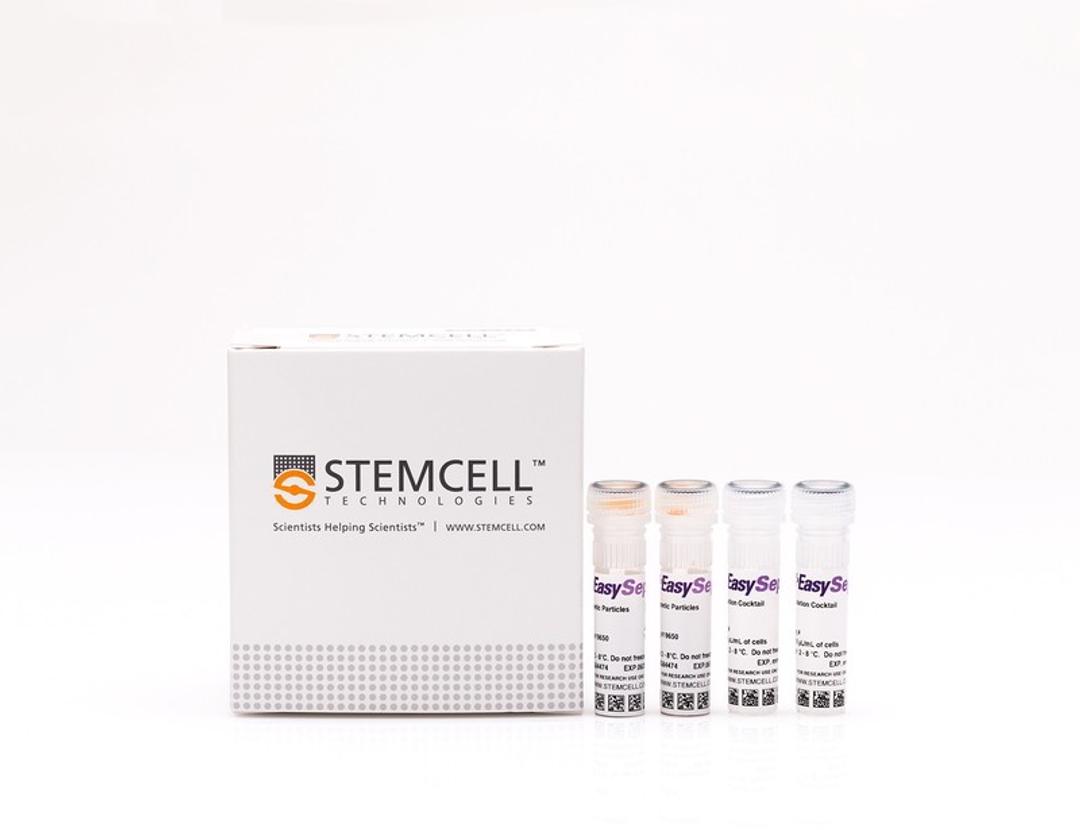 EasySep™ Human Naïve CD8+ T Cell Enrichment Kit - STEMCELL Technologies Inc. - Life Sciences